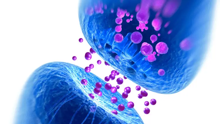 How Ketamine Heals: 3 Distinct Mechanisms Explained